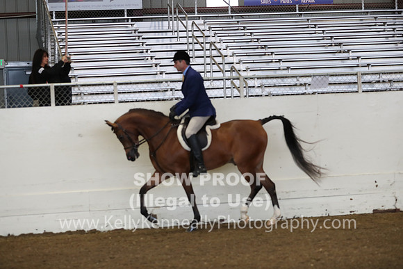 AHANC19_ThursAM_0084