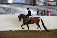 AHANC19_ThursAM_0116