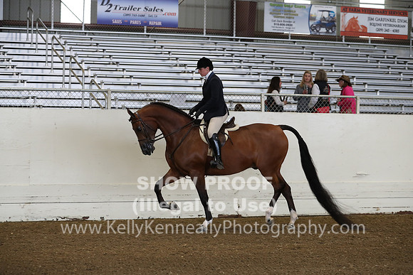 AHANC19_ThursAM_0116