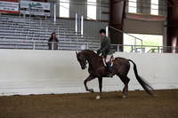 AHANC19_ThursAM_0119