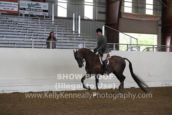 AHANC19_ThursAM_0119