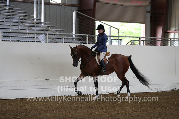AHANC19_ThursAM_0086