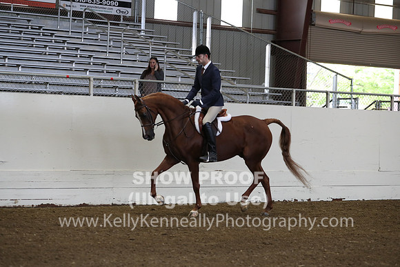 AHANC19_ThursAM_0123