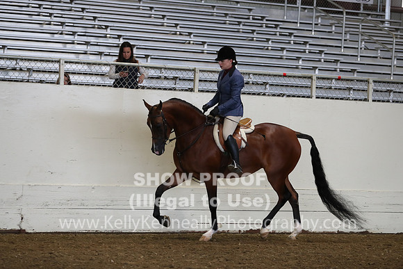 AHANC19_ThursAM_0087