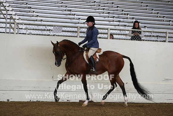 AHANC19_ThursAM_0088
