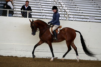 AHANC19_ThursAM_0089