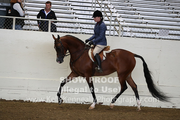 AHANC19_ThursAM_0089
