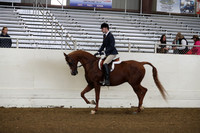 AHANC19_ThursAM_0125