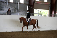 AHANC19_ThursAM_0126