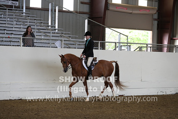 AHANC19_ThursAM_0126