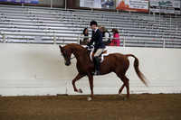AHANC19_ThursAM_0124