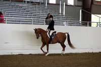 AHANC19_ThursAM_0127
