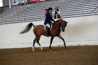 AHANC19_ThursAM_0093