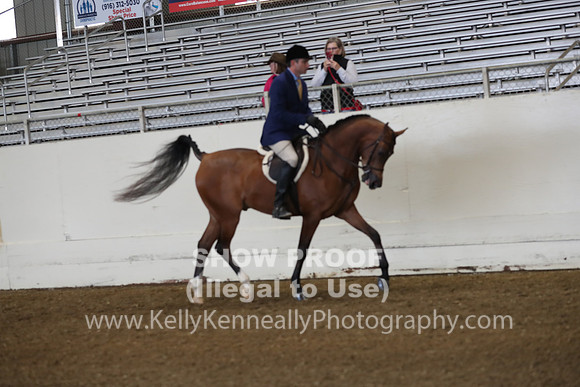 AHANC19_ThursAM_0093