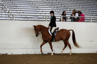 AHANC19_ThursAM_0128