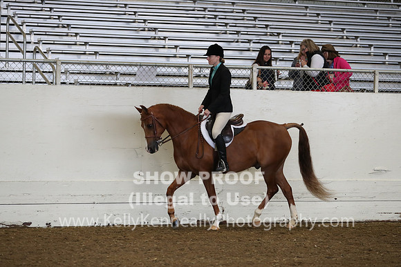 AHANC19_ThursAM_0128