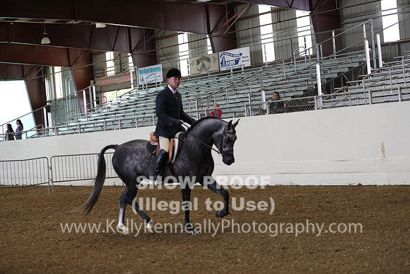 AHANC19_ThursAM_0094