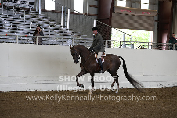AHANC19_ThursAM_0134