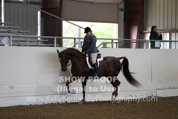 AHANC19_ThursAM_0138