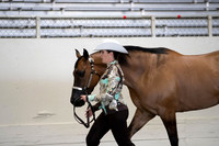 AHANC19_ThursAM_0009