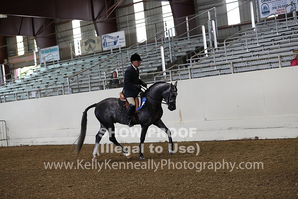 AHANC19_ThursAM_0102