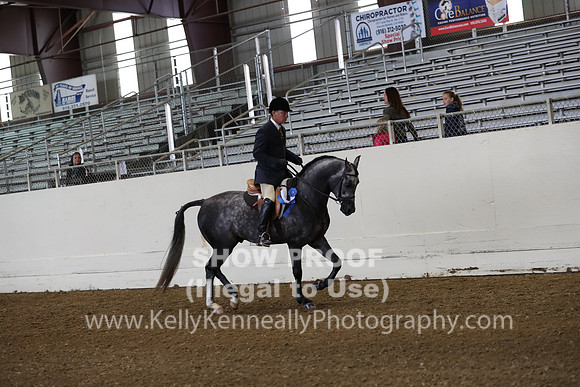 AHANC19_ThursAM_0103
