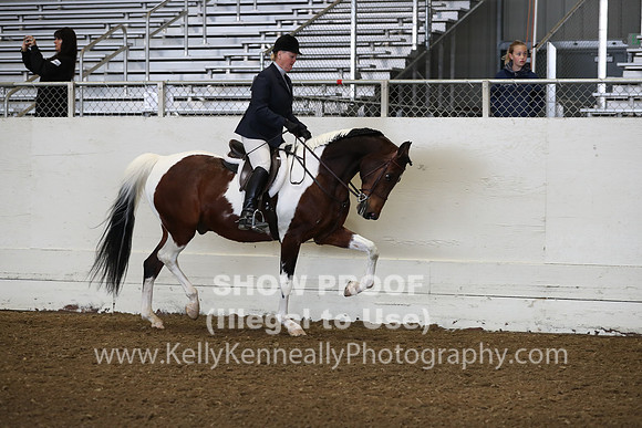 AHANC19_ThursAM_0145