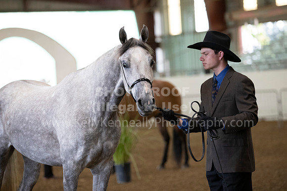 AHANC19_ThursAM_0014