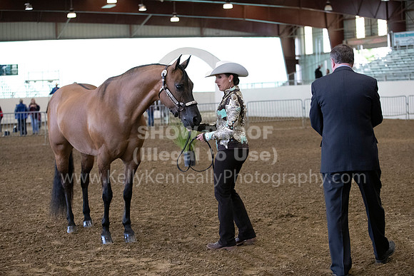 AHANC19_ThursAM_0020