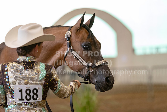 AHANC19_ThursAM_0021