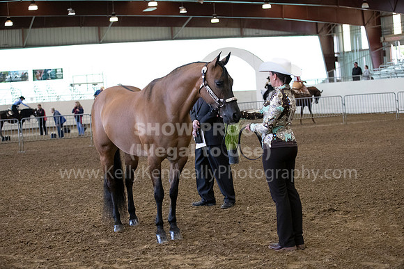 AHANC19_ThursAM_0023