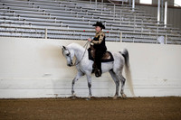AHANC19_ThursAM_0028