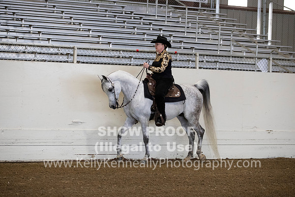 AHANC19_ThursAM_0028