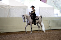 Class 2 Arabian Western Pleasure Ladies & Gentlemen to Ride