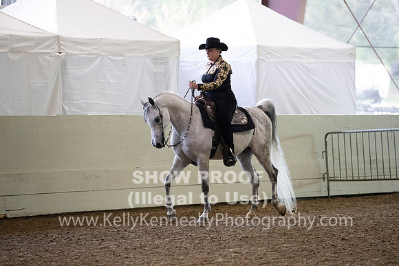 AHANC19_ThursAM_0026