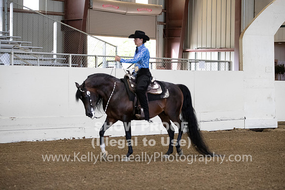 AHANC19_ThursAM_0040