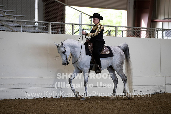 AHANC19_ThursAM_0043