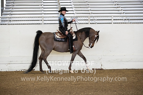 AHANC19_ThursAM_0044