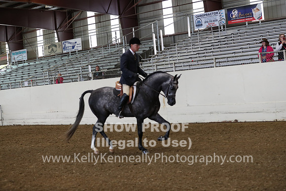 AHANC19_ThursAM_0095