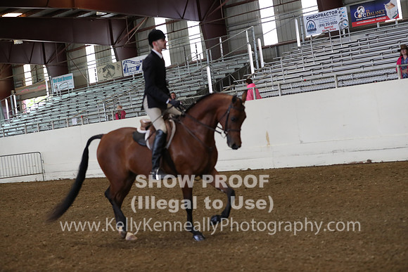 AHANC19_ThursAM_0097