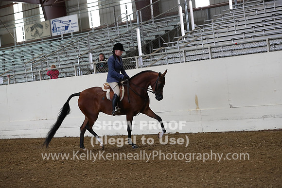 AHANC19_ThursAM_0098