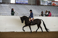 AHANC19_ThursAM_0131