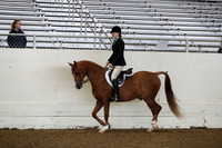 AHANC19_ThursAM_0129