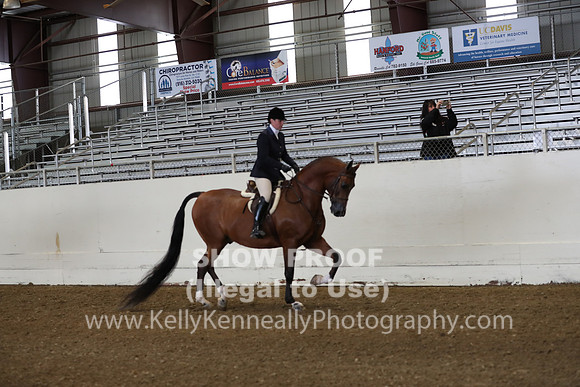 AHANC19_ThursAM_0153