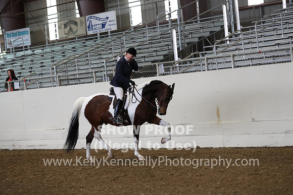 AHANC19_ThursAM_0159
