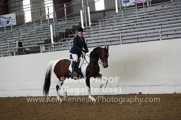 AHANC19_ThursAM_0160