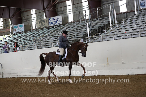 AHANC19_ThursAM_0164