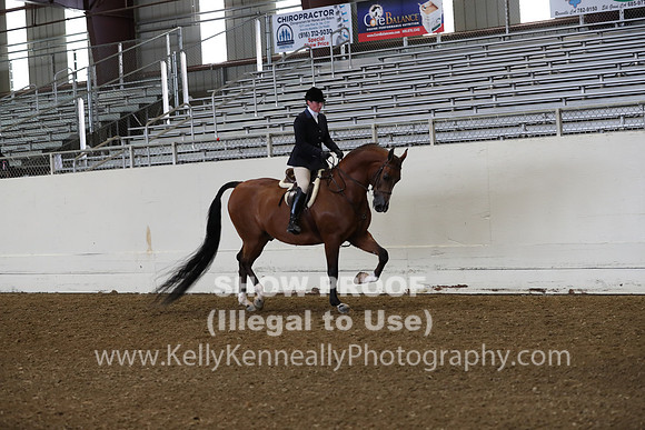 AHANC19_ThursAM_0169