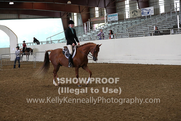 AHANC19_ThursAM_0171