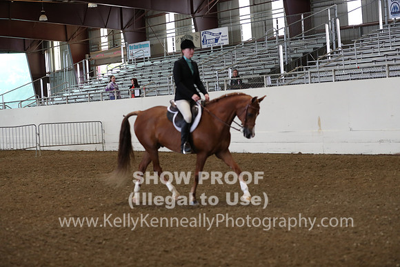 AHANC19_ThursAM_0172